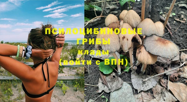 стафф Михайловка