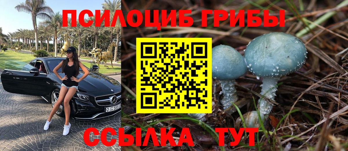 Псилоцибиновые грибы Cubensis  Галлюциногенные грибы GOLDEN TEACHER  Воткинск  Вход с VPN 