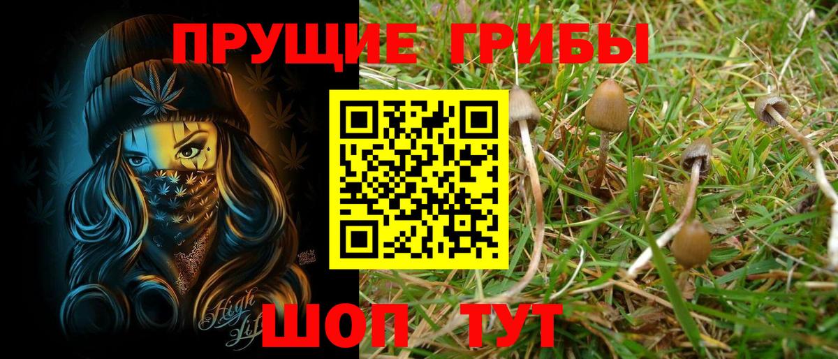 Псилоцибиновые грибы MAGIC MUSHROOMS Воткинск