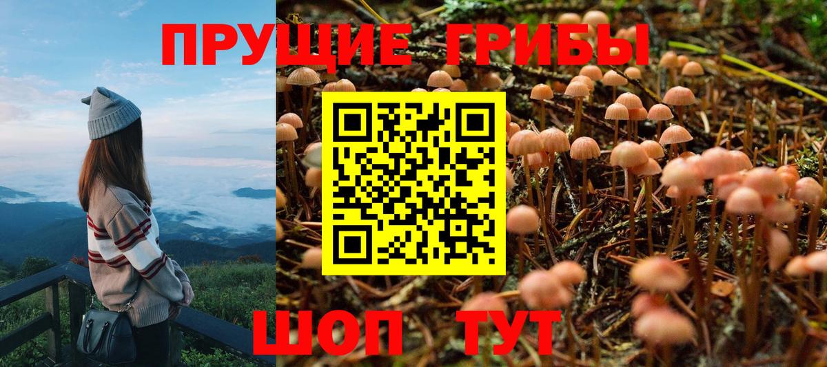 Галлюциногенные грибы Cubensis  купить наркотик  Галлюциногенные грибы Magic Shrooms  Воткинск 